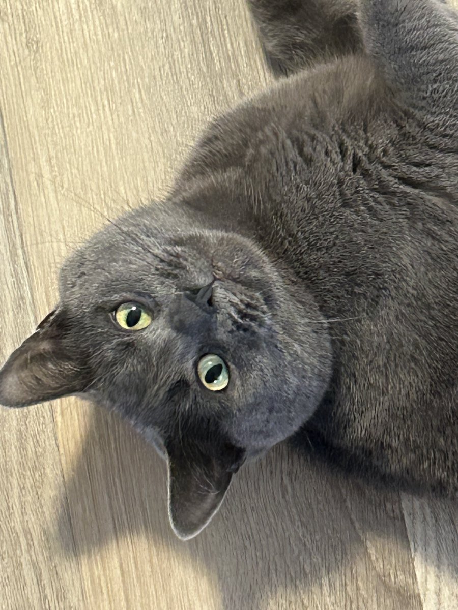 RetroWorks tweet media