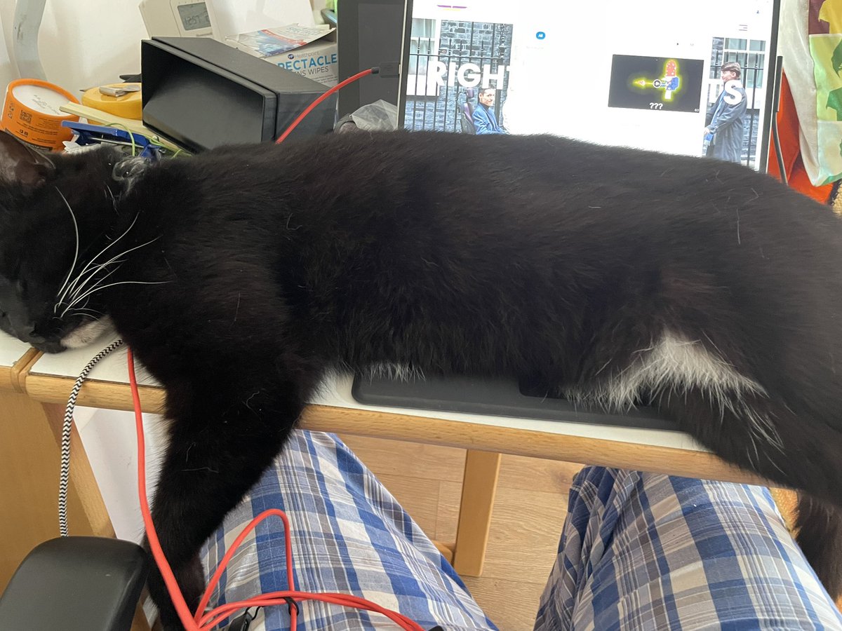 I might struggle with today’s deadlines. #catonthelaptop