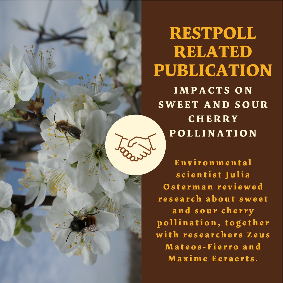 RestPoll (@restpoll) on Twitter photo Environmental scientist @osterman_julia reviewed research about cherry pollination, together with researchers Zeus Mateos-Fierro and <a href="/EeraertsMaxime/">Maxime Eeraerts</a>. “We show how multiple aspects are directly or indirectly affecting sweet and sour cherry pollination." > tinyurl.com/3sdf3rfm Environmental scientist @osterman_julia reviewed research about cherry pollination, together with researchers Zeus Mateos-Fierro and <a href="/EeraertsMaxime/">Maxime Eeraerts</a>. “We show how multiple aspects are directly or indirectly affecting sweet and sour cherry pollination." > tinyurl.com/3sdf3rfm