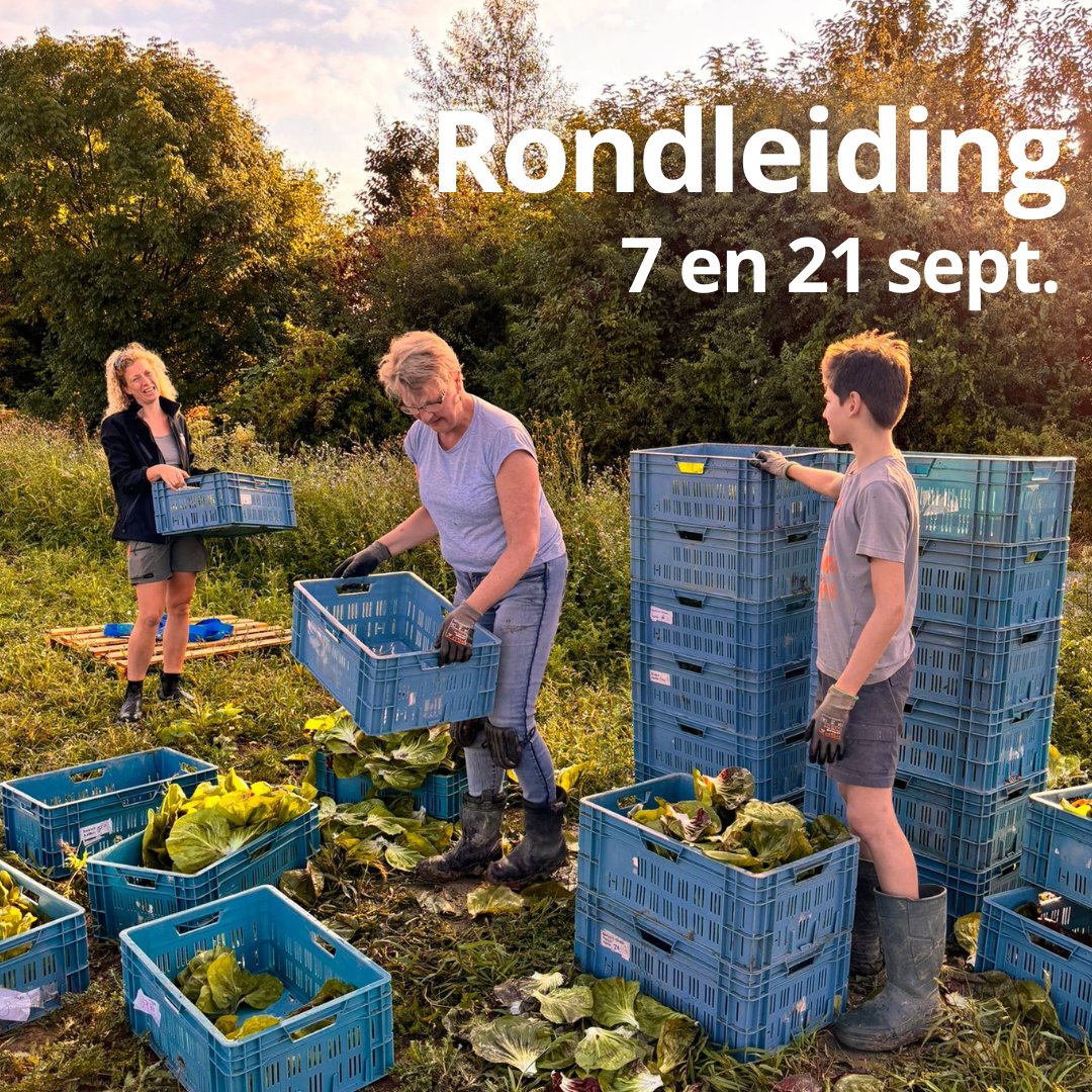 HBLingezegen_Grootstal (@hblingezegen) on Twitter photo Ook je eigen groente verbouwen? Op 7 en 21 september zijn er 's middags weer rondleidingen op onze #herenboerderij bij #Elst.
#herenboeren <a href="/HBNijmegen/">Herenboeren Nijmegen</a> <a href="/herenboeren/">Herenboeren</a> #bio #groente #lokaal #Arnhem #Nijmegen Ook je eigen groente verbouwen? Op 7 en 21 september zijn er 's middags weer rondleidingen op onze #herenboerderij bij #Elst.
#herenboeren <a href="/HBNijmegen/">Herenboeren Nijmegen</a> <a href="/herenboeren/">Herenboeren</a> #bio #groente #lokaal #Arnhem #Nijmegen