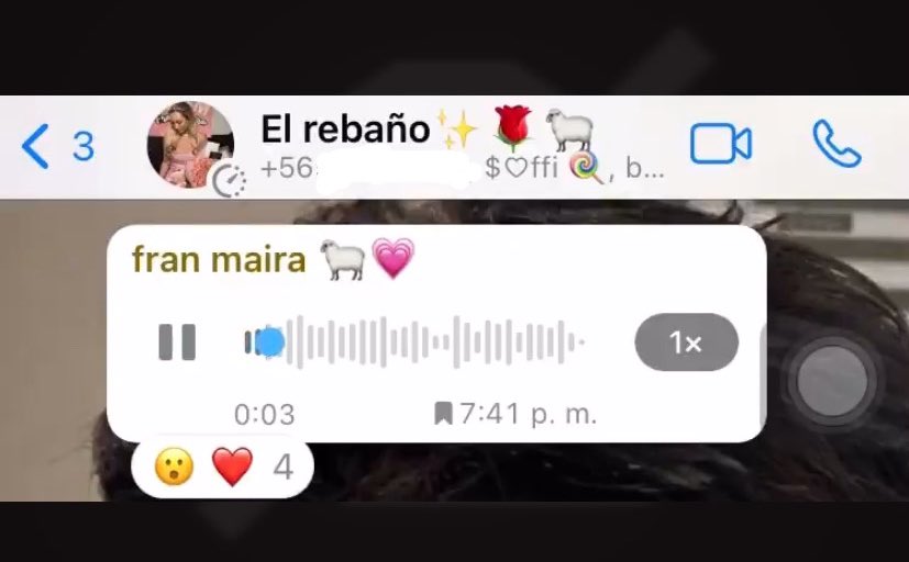 OriQueenMarzoli's tweet photo. Los fans de Fran dicen que Oriana no respeta las reglas del reality por resumir el otro día lo que le hizo Pamela porque lo consideran "spoiler", pero aquí la única que no respeta las reglas es su queridísima Fran con este maravilloso audio contándoles cosas del reality. https://t.co/7hk3OHgkaF