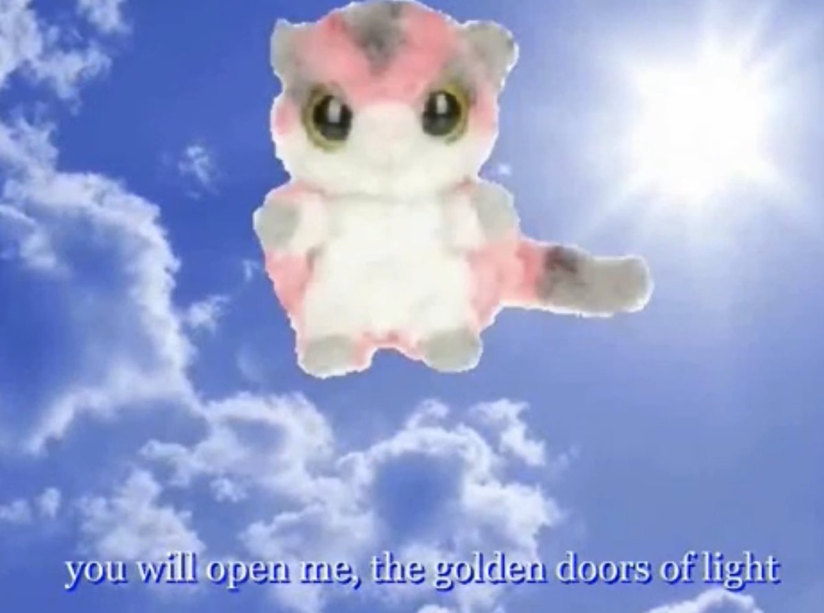 🗡 VYL3TPWNY 🗡 tweet media