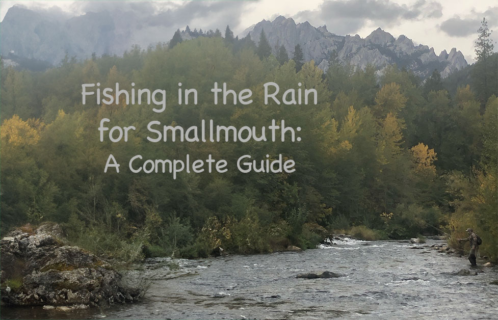 woolybuggin's tweet photo. Don’t let rain ruin your smallmouth bass fishing trip! Learn which flies work best in different rain conditions, from showers to downpours.
https://t.co/lpAV2s2li1 https://t.co/5UFUEFN4rd