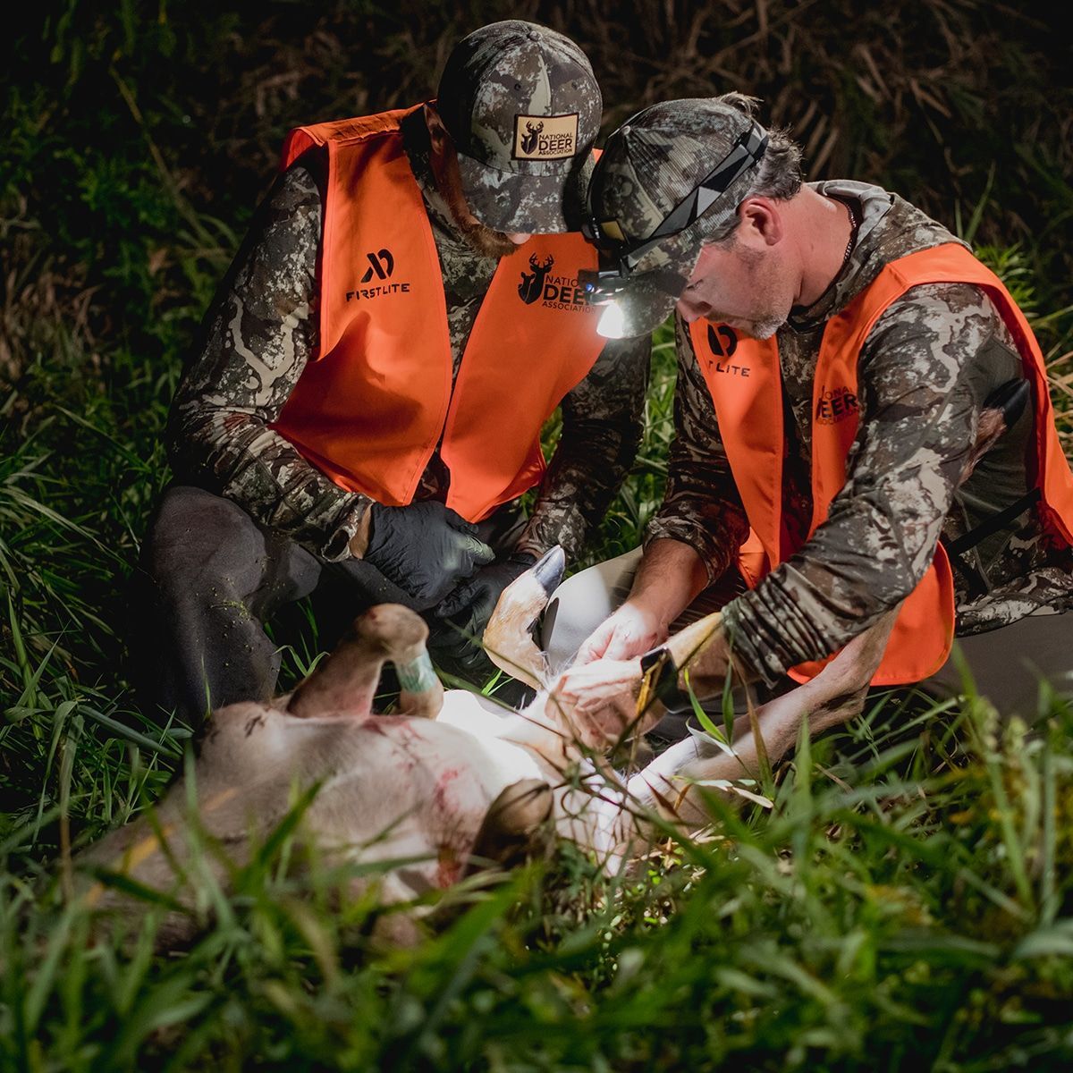 How much time do you have to recover your deer in warm weather before the venison spoils? Here's the best science-based guidance: buff.ly/43t1tm6