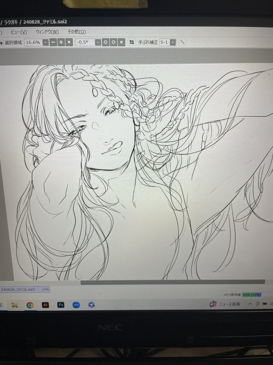 毎年誕生日絵描こうとするのに絶対にお祝いに相応しいとは思えないラフが出来上がって途方に暮れる。
どうするよこれ 