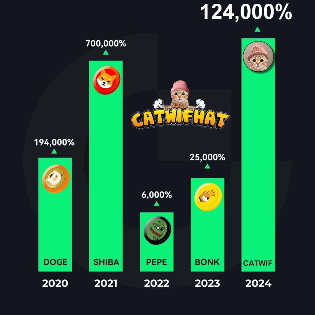 #catwifhat coin of 2024