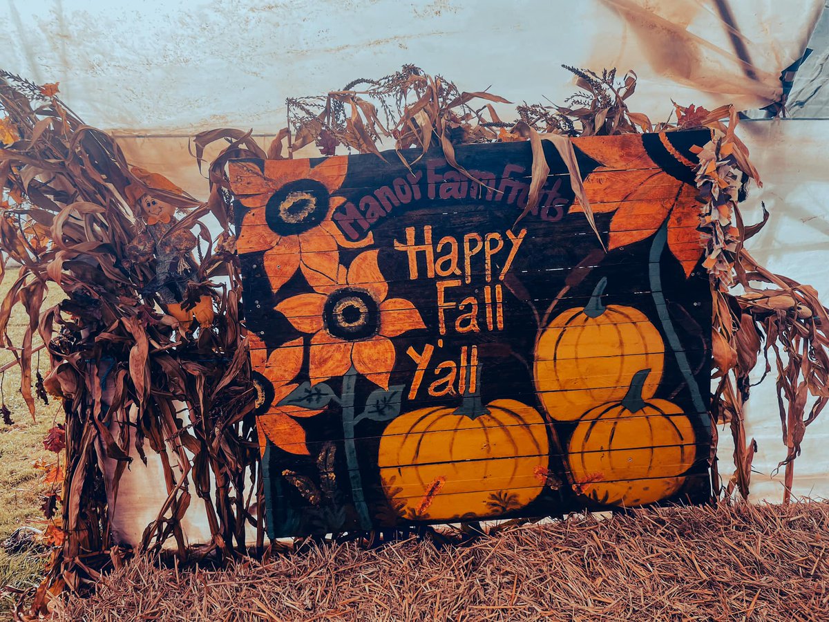 🎃 Pumpkin Fest 2024 tickets are on sale now! 🎟️ Join us this October and harvest some Memories! New this year: Wardy Gourdy’s Wacky Lab &amp; Bone Boulevard Maze. Plus, Pumpkin Fest by Night returns! Don’t miss out—book now! 🎃👻👉 manorfarmfruits.co.uk/book-now/
#pumpkinfest #pumkinspice