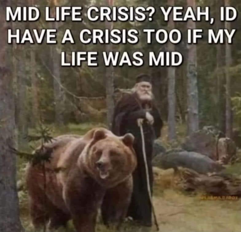 🐻 Bear 🍃 tweet media