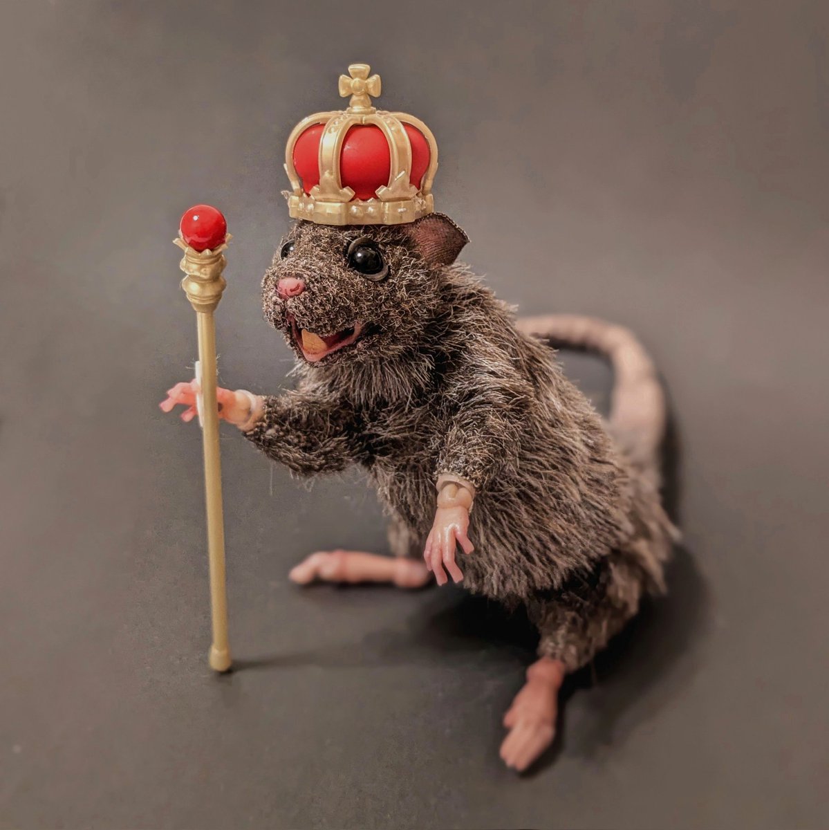 iiiiliiiil_1cm's tweet photo. King of Rats https://t.co/s9ngXiIYit