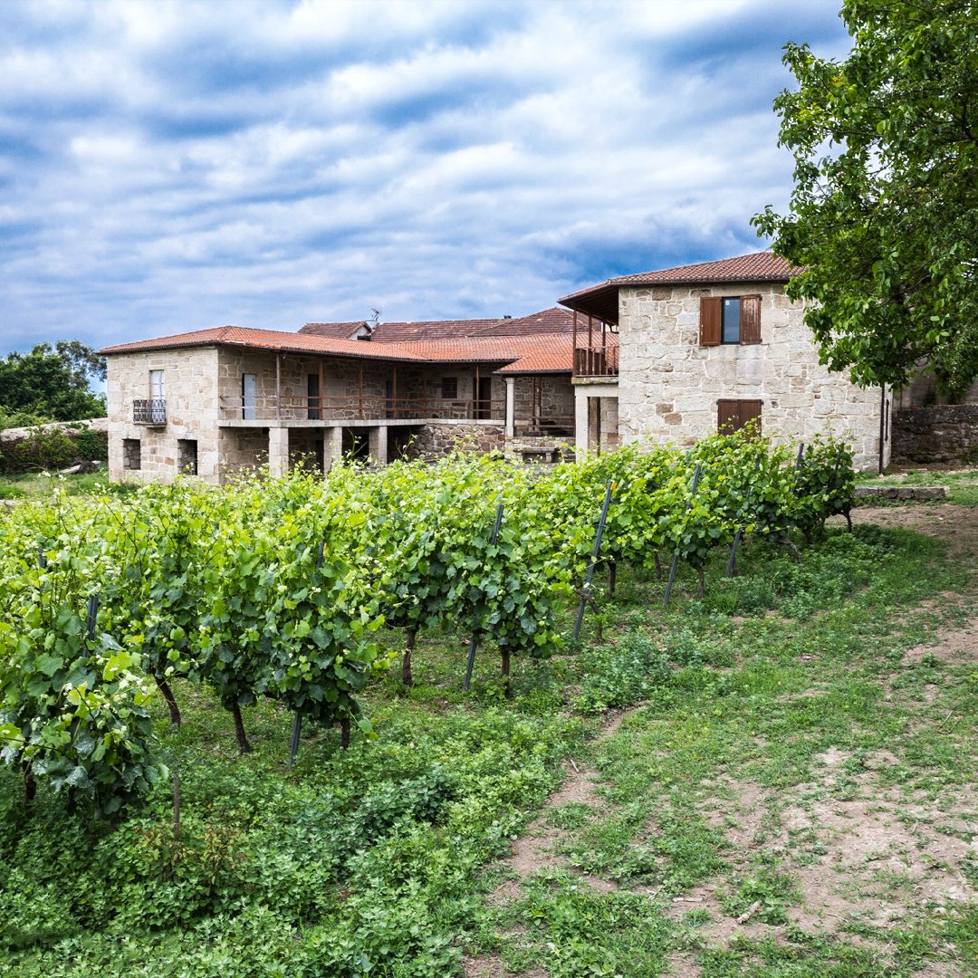 En nuestra #bodega, conservamos etiquetas de #vinos elaborados en la finca por Don Manuel Jáudenes Bárcena en 1919, aunque las primeras menciones históricas del cultivo de la vid datan del siglo XVIII. ¿No es asombroso?
#PazoCasanova #DORibeiro #BodegasGallegas #Vitivinicultura