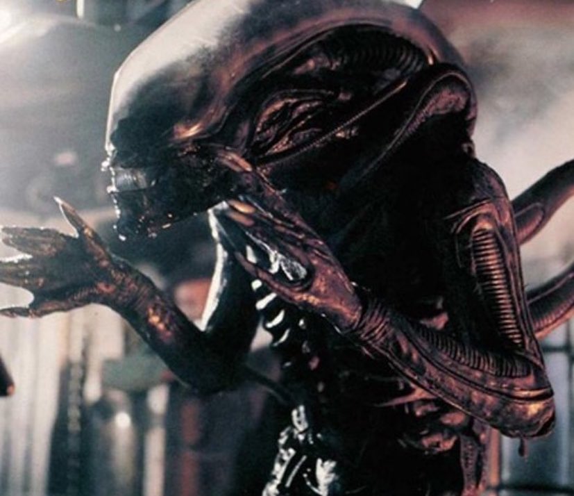 seanjetravers's tweet photo. Me explaining why Prometheus is good https://t.co/9u3dWBAfrt
