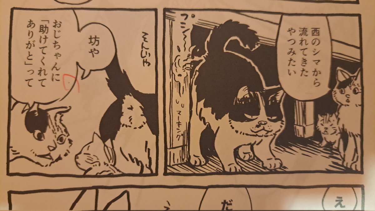 ねー、この名もなき三毛猫ちゃんすごい顔かわいいと思うんだけど私 
