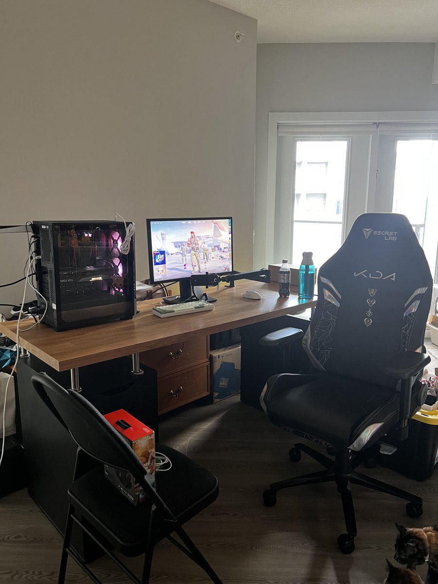 Danica🦖 tweet media