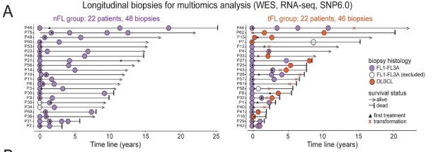 Jillian Wise tweet media