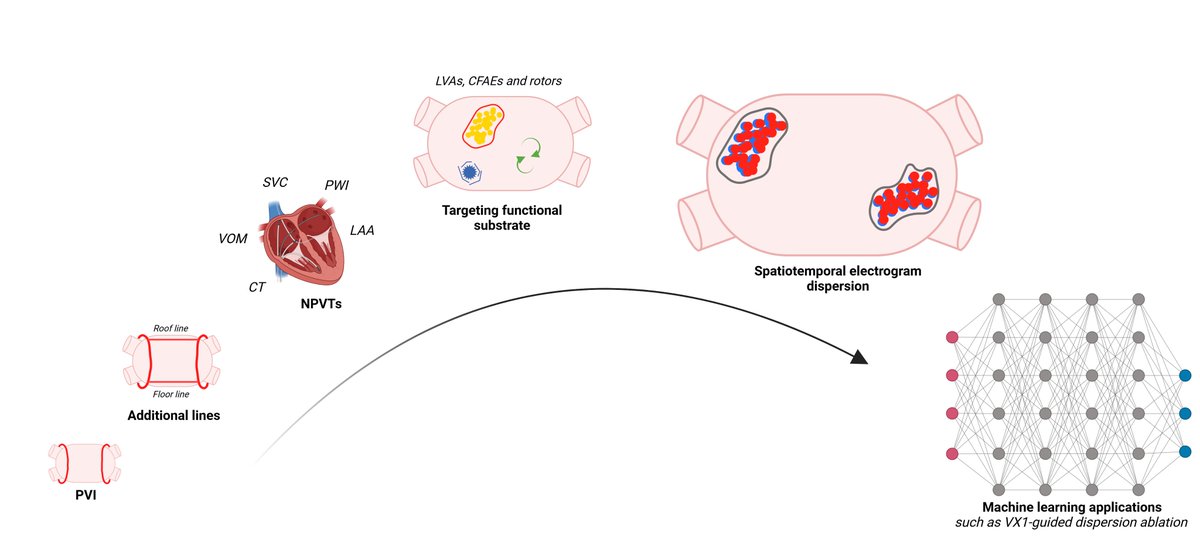 Omar Baqal, MD (@omarjavedbaqal) on Twitter photo A labor of love! Check out our ambitious review on NPVTs and substrate modification beyond PVs for persistent AF ablation. Grateful to my mentor <a href="/masry_hicham/">Hicham El Masry</a> and co-authors for their support. #EPeeps #CardioTwitter #Afib <a href="/MichaelFaulx/">Michael Faulx, MD, FACC</a> <a href="/EoinDonnellan1/">Eoin Donnellan</a>
mdpi.com/2077-0383/13/1… A labor of love! Check out our ambitious review on NPVTs and substrate modification beyond PVs for persistent AF ablation. Grateful to my mentor <a href="/masry_hicham/">Hicham El Masry</a> and co-authors for their support. #EPeeps #CardioTwitter #Afib <a href="/MichaelFaulx/">Michael Faulx, MD, FACC</a> <a href="/EoinDonnellan1/">Eoin Donnellan</a>
mdpi.com/2077-0383/13/1…
