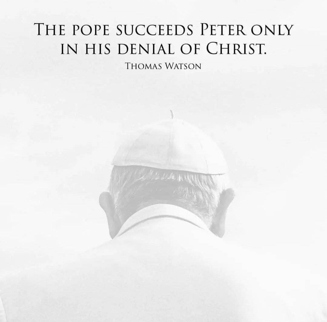 5Solas2's tweet image. 