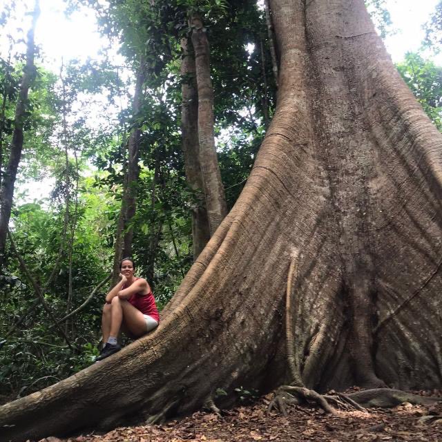 World Press Institute tweet media