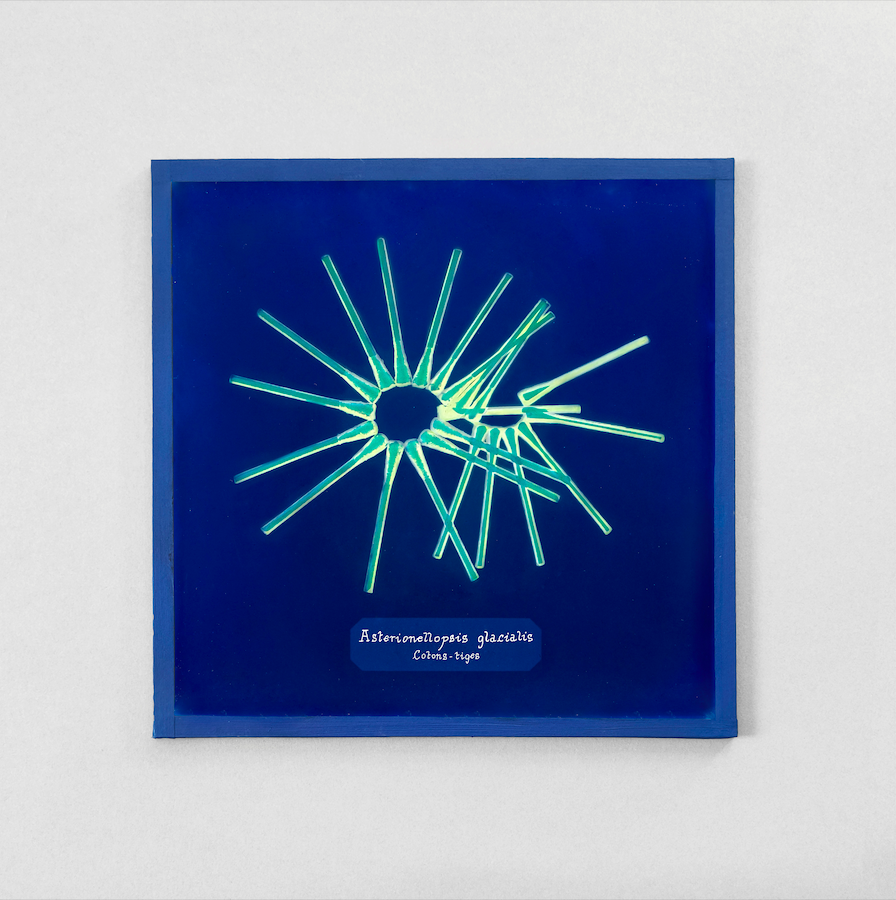 residence1plus2 tweet media