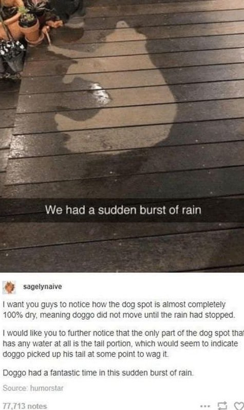 RespectfulMemes's tweet photo. https://t.co/GqYxzurSzW