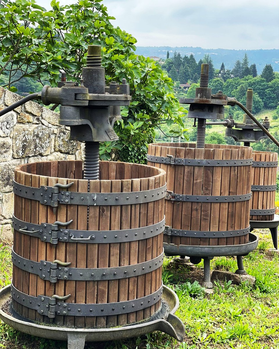 Justo en la entrada de nuestra bodega #PazoCasanova, podrás apreciar estas históricas prensas de vino 🍇. Estos tesoros son un claro testimonio de nuestro profundo respeto por la tradición vitivinícola milenaria de la región.

#FincaViñoa #DORibeiro #Vitivinicultura #Viñedos