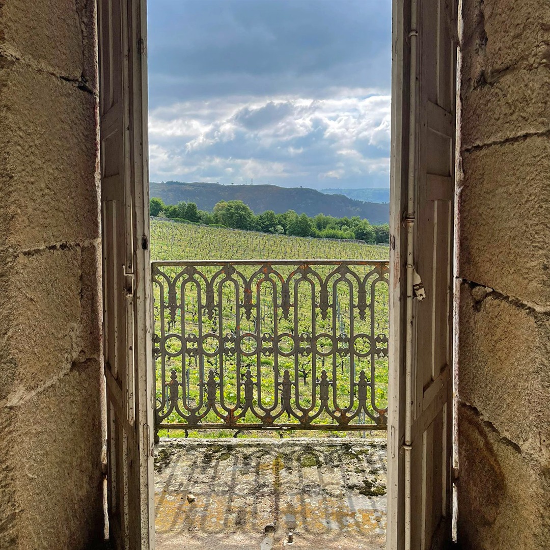 ¡Vistas únicas desde nuestra bodega #PazoCasanova! A través de esta ventana podemos observar cómo los viñedos van cambiando de fase durante su ciclo vegetativo, lo que resulta en una experiencia verdaderamente mágica.

#FincaViñoa #DORibeiro #Vitivinicultura #Vid #Viñedos