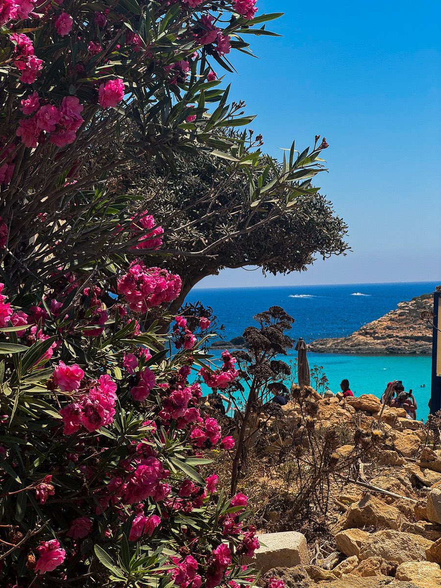 faresrsf's tweet photo. Y’a ce genre de paysages paradisiaques sur terre et nous on souffre en métropole avec des CDI à 11,50€/h https://t.co/dTqk80WfYD