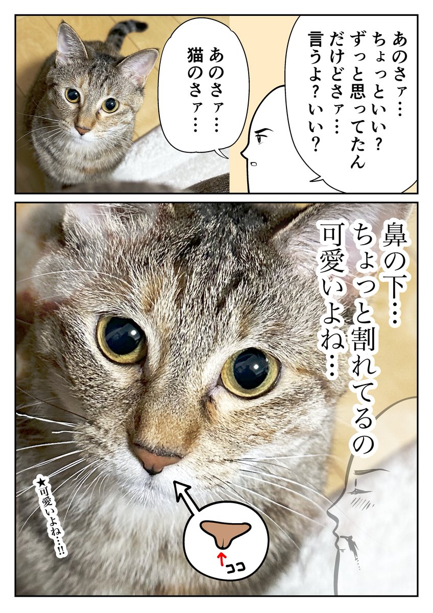 言いたかったこと 