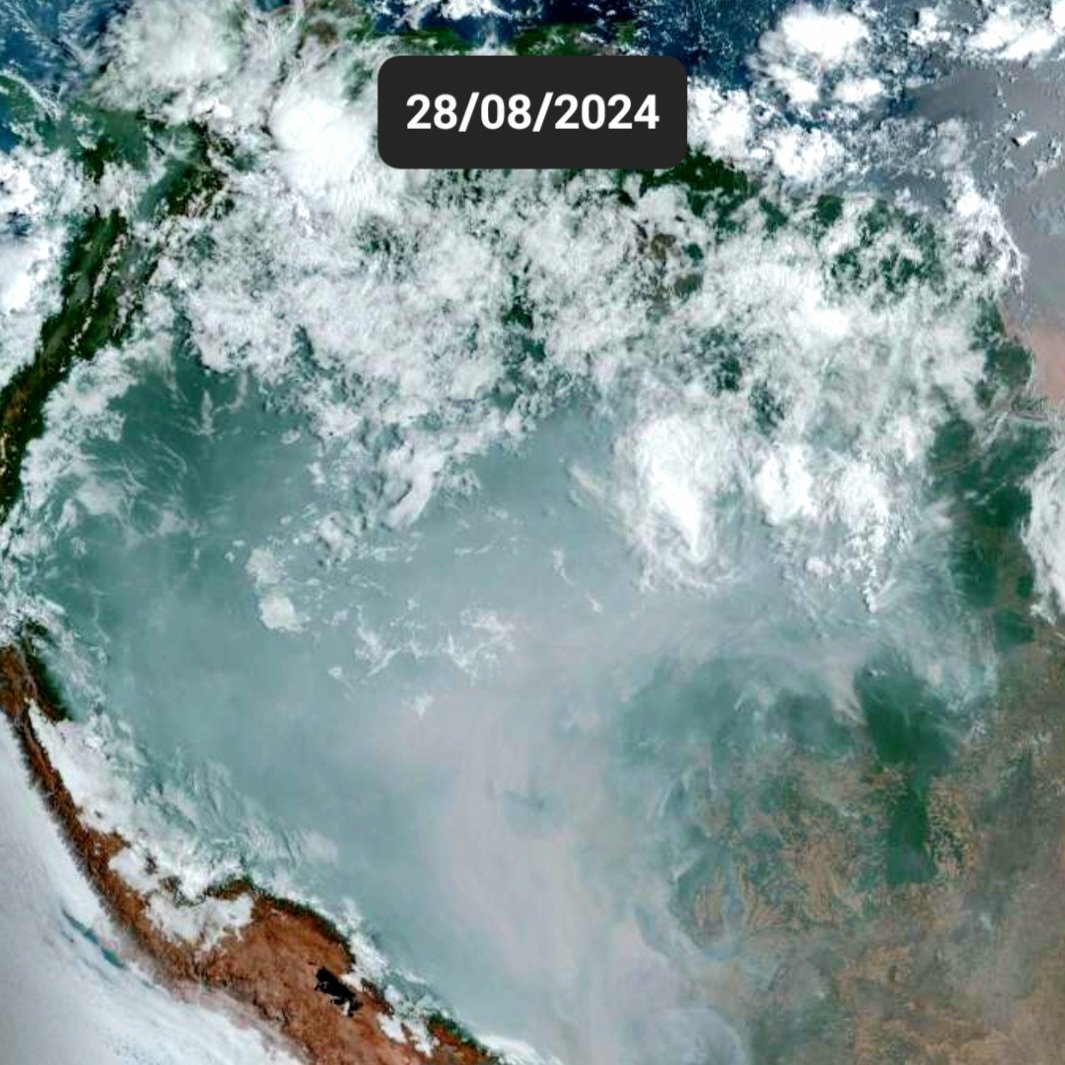 bbbrezenski's tweet image. ⚠️🔥The Amazon Rainforest is suffocating under toxic smoke from relentless fires - for over 2 MONTHS!

🌍 How can we stand by as one of the world's greatest carbon sinks burns? 
This is a global emergency. 
Wake up, HUMANITY!

#ActNow 
#SaveTheAmazon 
#ClimateCrisis