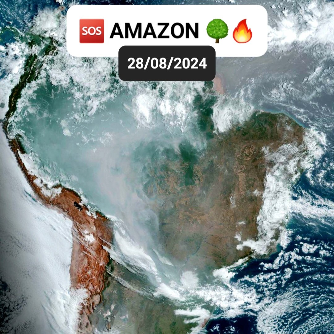 bbbrezenski's tweet image. ⚠️🔥The Amazon Rainforest is suffocating under toxic smoke from relentless fires - for over 2 MONTHS!

🌍 How can we stand by as one of the world's greatest carbon sinks burns? 
This is a global emergency. 
Wake up, HUMANITY!

#ActNow 
#SaveTheAmazon 
#ClimateCrisis