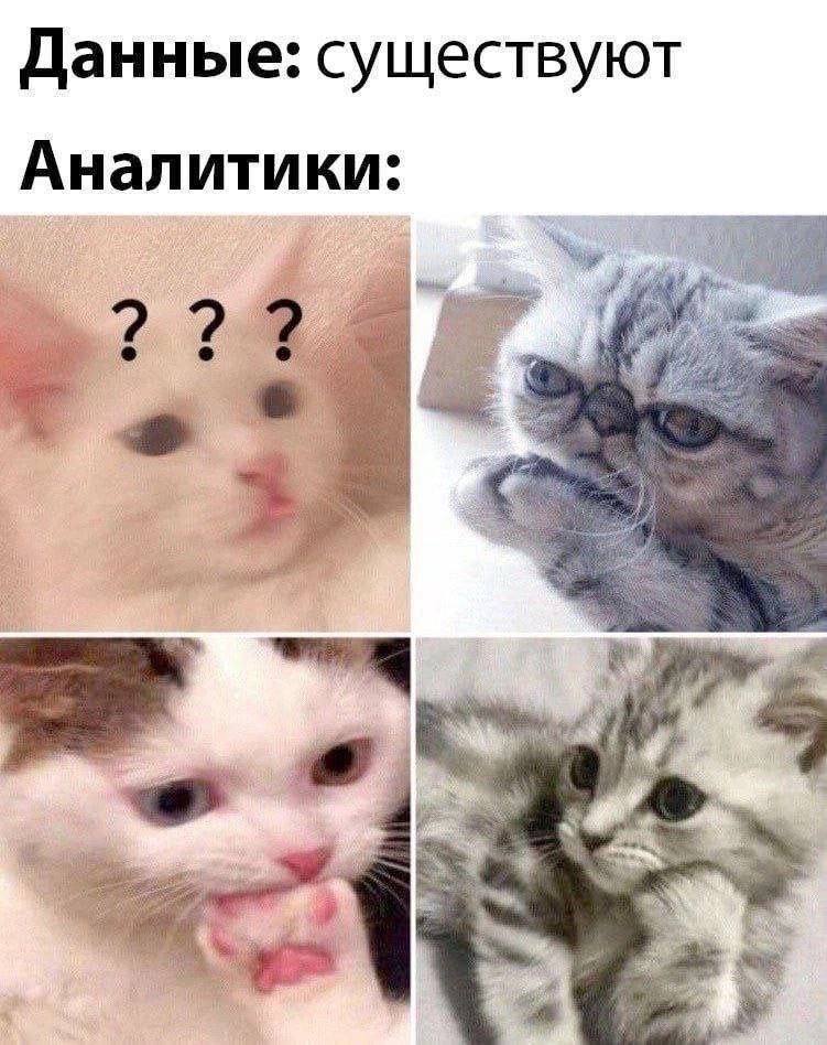 Gribanov ☢ ᓚᘏᗢ (@gribanov) on Twitter photo 
