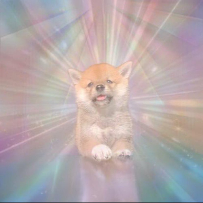FintechCaesar's tweet photo. @deg_ape #Euphoria 

ape - dip - pump - euphoria

And it’s mascot dog $Euphi

22jnoGxuzoAbiK3vsDXn8BLcCAR7NDYR7Dzh6U7CH8Pz

Community holding strong through this dip! Want to join our twitter group chat? We don’t have a telegram https://t.co/ttWqOtXm1m