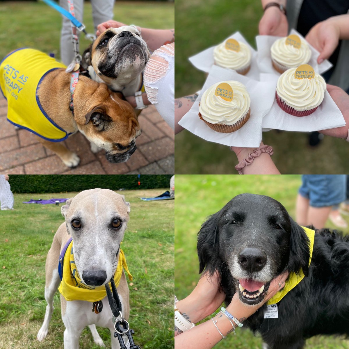 Great to spend lunch with our cutest (and fluffiest) neighbours <a href="/PetsAsTherapyUK/">Pets As Therapy</a> at their annual fundraising picnic today #PATnic