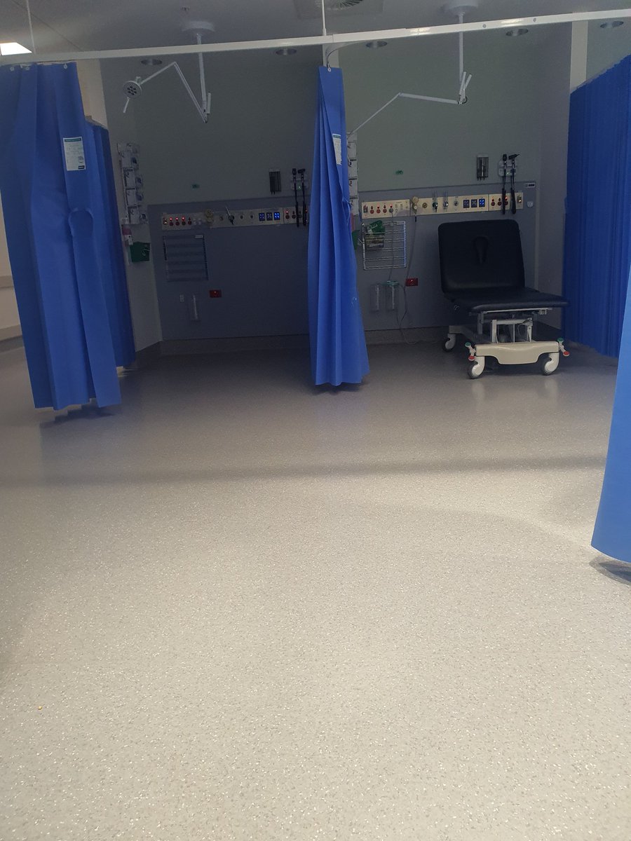 🖌 Sfi 🎨 tweet media