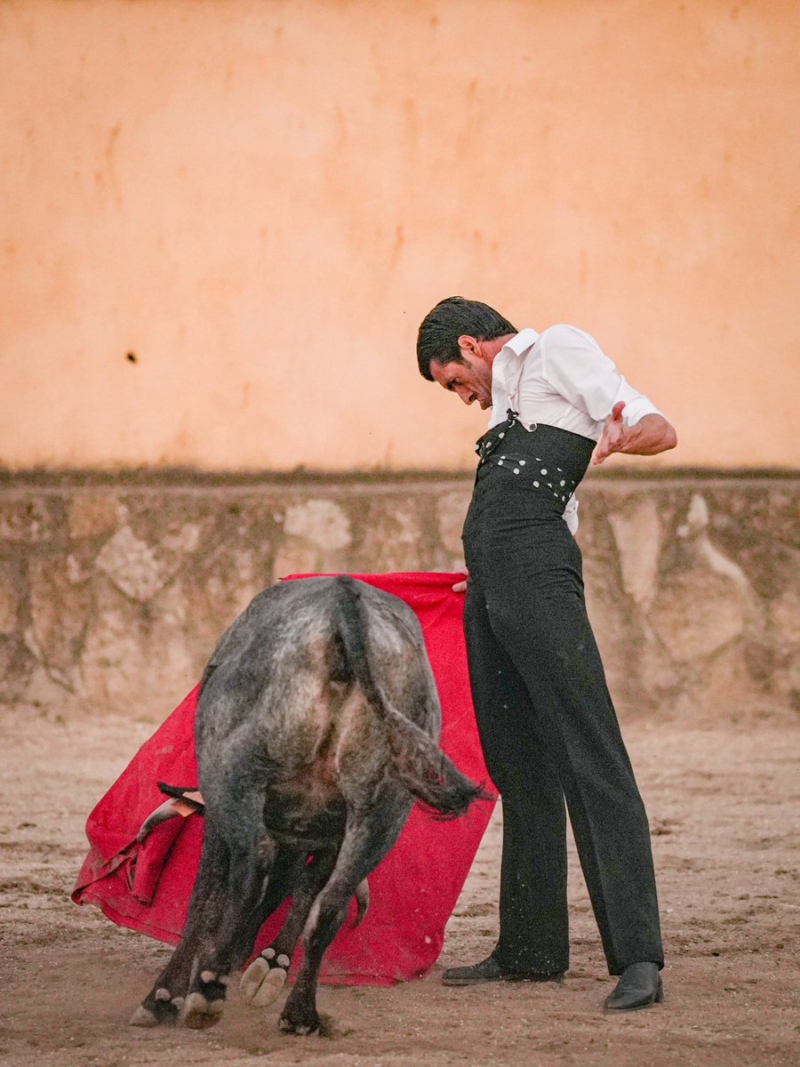 EmiliodeJusto's tweet photo. 📸 | 𝗣𝗥𝗘𝗣𝗔𝗥𝗔𝗖𝗜𝗢́𝗡

𝑬𝒎𝒊𝒍𝒊𝒐 𝒅𝒆 𝑱𝒖𝒔𝒕𝒐 intensifica su preparación en la ganadería de Victorino Martín de cara a su importante compromiso en Valladolid. Ayer, le acompañaron 𝑳𝒖𝒊𝒔 𝒅𝒆 𝒍𝒂 𝑭𝒖𝒆𝒏𝒕𝒆 y su staff en una jornada de campo

7 de septiembre… 𝑬𝑫𝑱 𝒚 𝟔 𝑽𝒊𝒄𝒕𝒐𝒓𝒊𝒏𝒐𝒔 𝟔