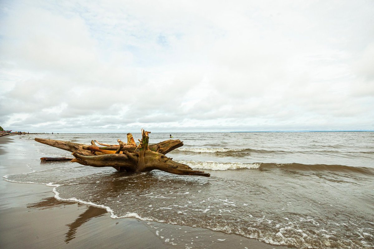 Gobernación de Antioquia tweet media
