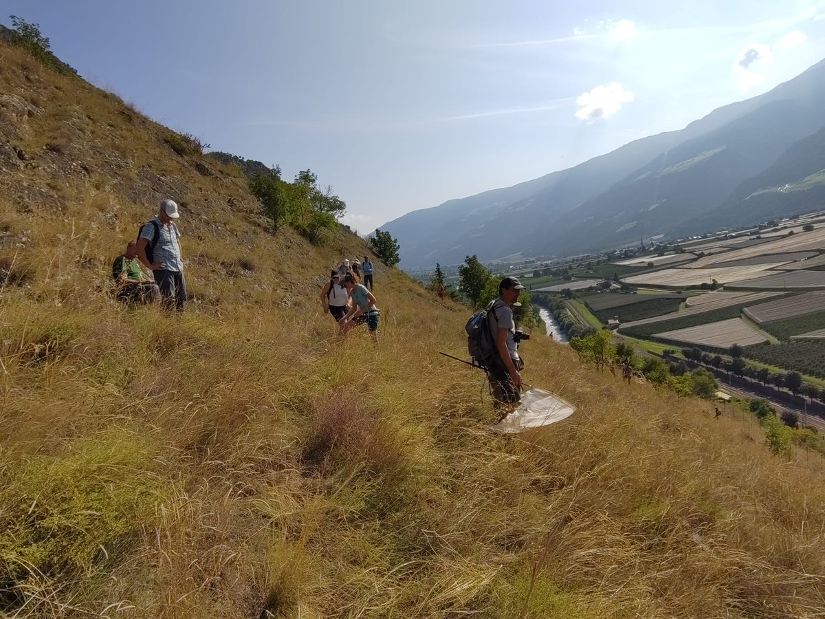 Alpine Environment - Eurac Research tweet media