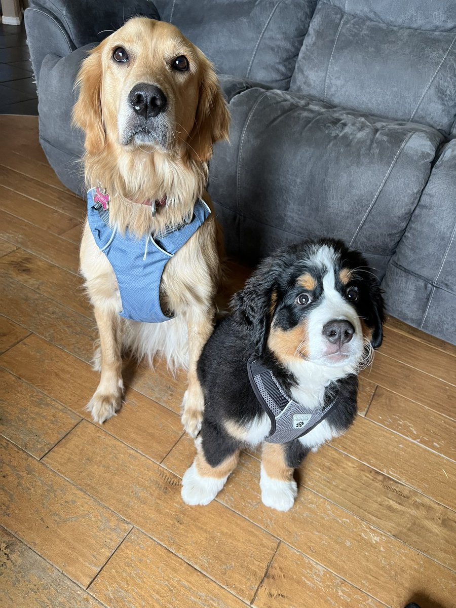 bunsenbernerbmd's tweet photo. Every group photo of Bernoulli is like he is the little kid who is so excited to be included but doesn’t know what is going on or where to even look. https://t.co/4VIuQ4rNSt