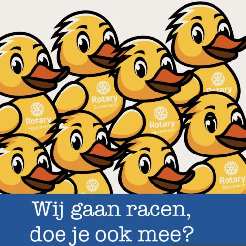 cosine is sponsoring the 'Badeendjesrace,' a rubber duck race organized by Rotary Club Sassenheim during the annual local event 'Nacht van Sassem', on Friday, August 30. There are several prizes to be won, including a visit to cosine!

More info: rotary-sassenheim.nl/product/badeen…