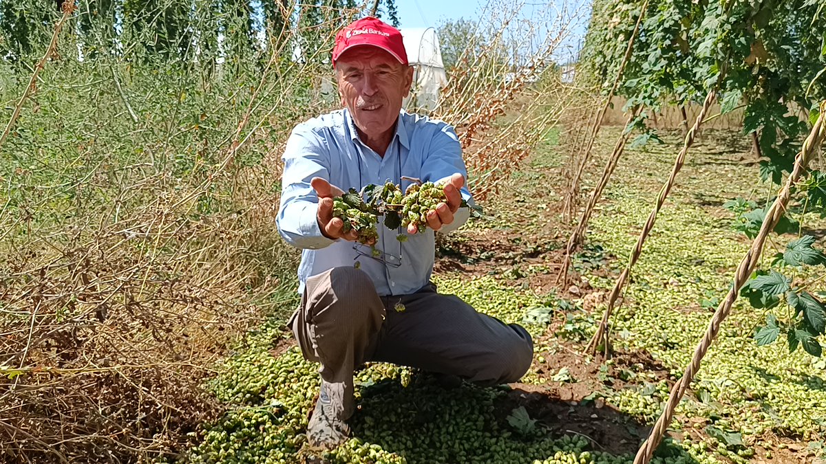 Pazaryeri'nde dolu ve sağanaktan etkilenen arazilerde hasar tespit çalışmaları sürüyor hbr.tk/5vVyQY/t <a href="/haberturk/">Habertürk</a> aracılığıyla