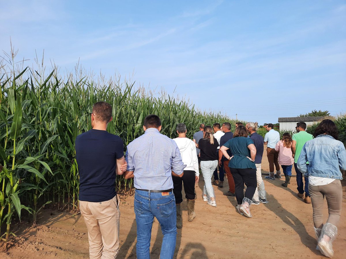 Qui dit fin des congés, dit réunion de rentrée 🤩 

Au programme :

✔ Passage en revue de la gamme 🌽 fourrage et grain
✔ Point sur les productions et récoltes #maïs à venir

Et on passe un moment convivial tous ensemble ☺ !

A très vite sur le terrain #récolte
