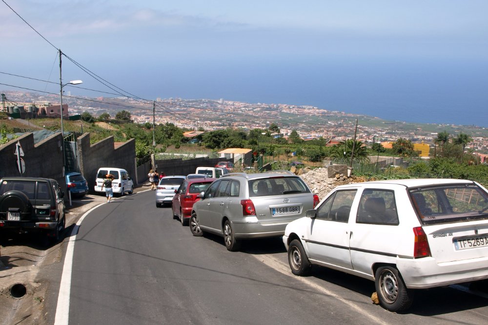 BuzzTrips tweet media