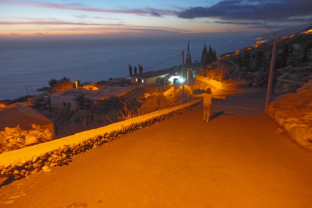 BuzzTrips tweet media