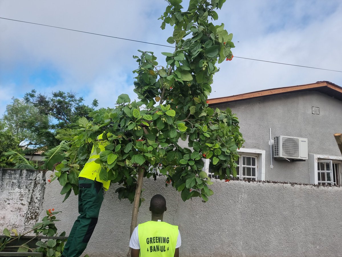 SolNjie's tweet photo. Development Oriented Citizen is Honoured to host Honourable Sulayman Jammeh from the Bundung Ka Kunda Constituency. His visit was focused on the  efforts we D.O.C are making to transform the landscape of Banjul with possible partnership to replicate the model in Bundunghighway. https://t.co/UMOpUAe84j