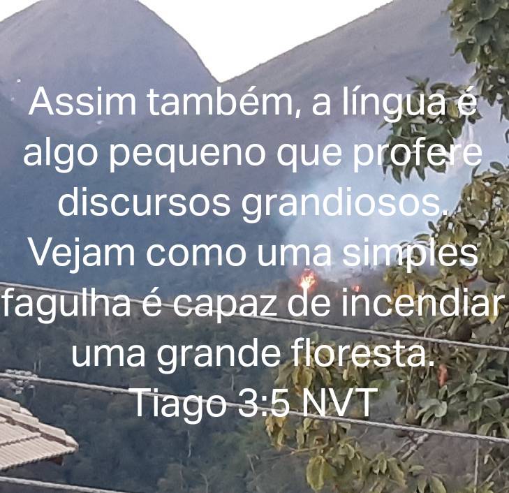 sergioca64's tweet photo. Nos dias atuais a língua tem sido substituída pelo dedo no impulso de compartilhar mentiras e ganhar "likes" para a auto promoção. E que incendio tem feito as "fake-news" no meio cristão. https://t.co/HHEdcNyys8