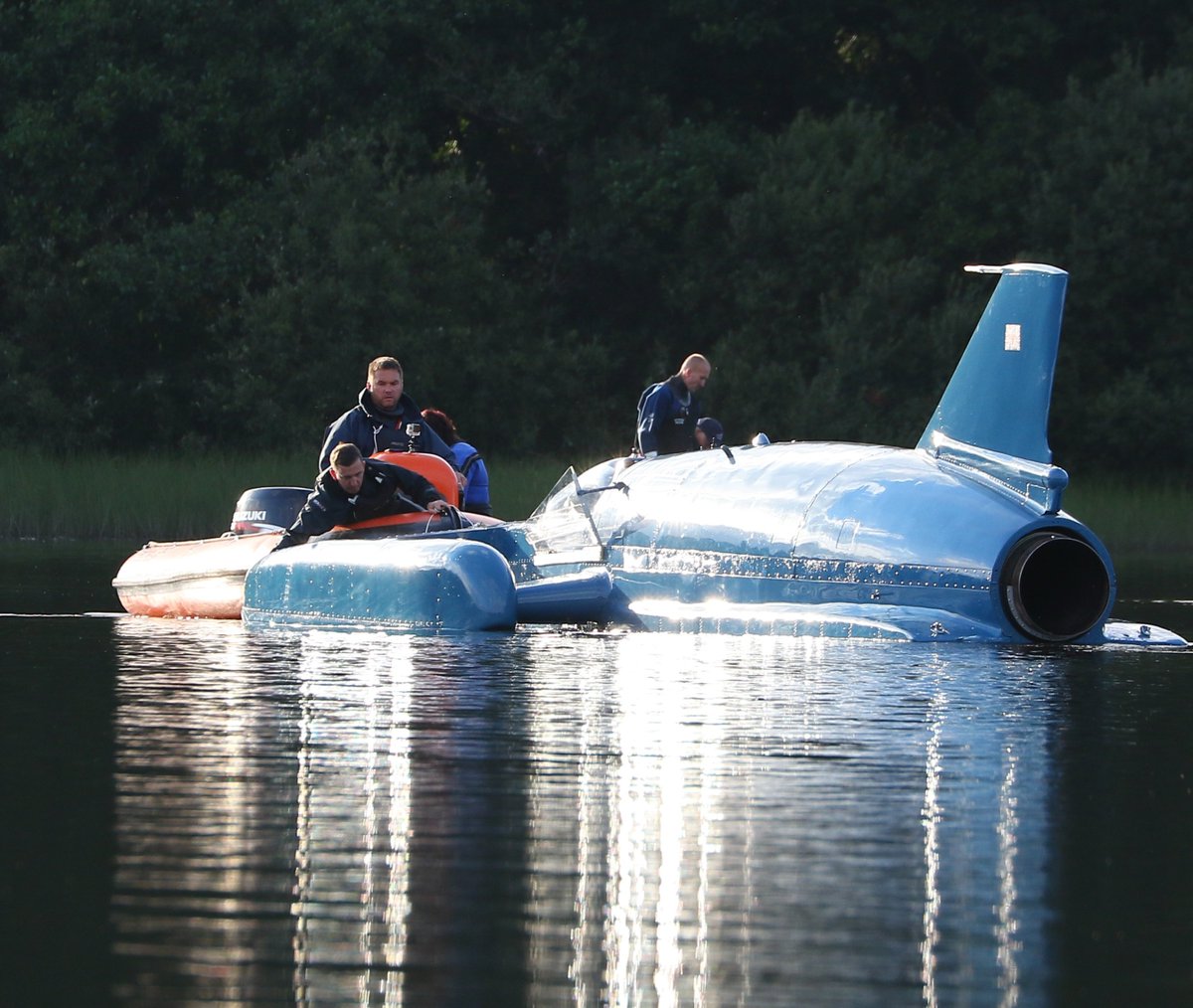 The Bluebird Project tweet media