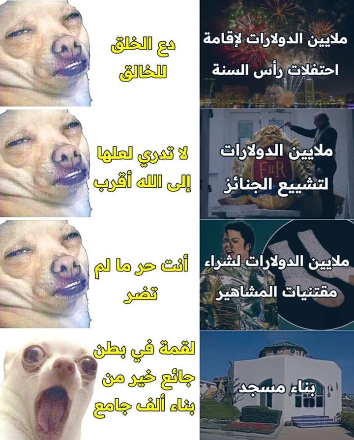 أكاديمية المنافقين (@arabmonafik) on Twitter photo 