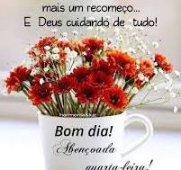 CarvAparecida's tweet photo. https://t.co/zftV1pCrv8