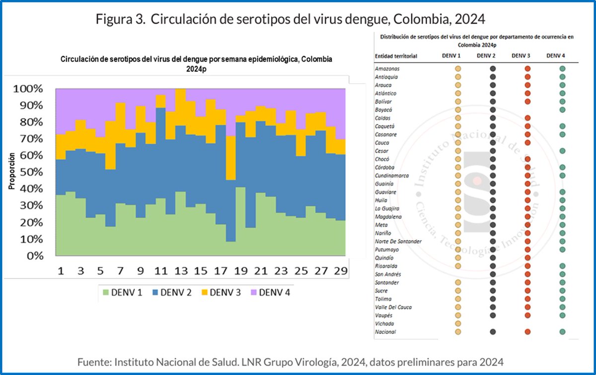 AlvarezMorenoC's tweet photo. El @INSColombia publicó la actualización de la vigilancia en dengue. En el mes de agosto Santander, Antioquia, Bolívar, Córdoba, Sucre y Arauca tienen alta transmisión. Siguen circulando los 4 serotipos en la mayoría del país.  NO hay que bajar la guardia! https://t.co/8sIgEmTeOh https://t.co/ROHnFB36p7