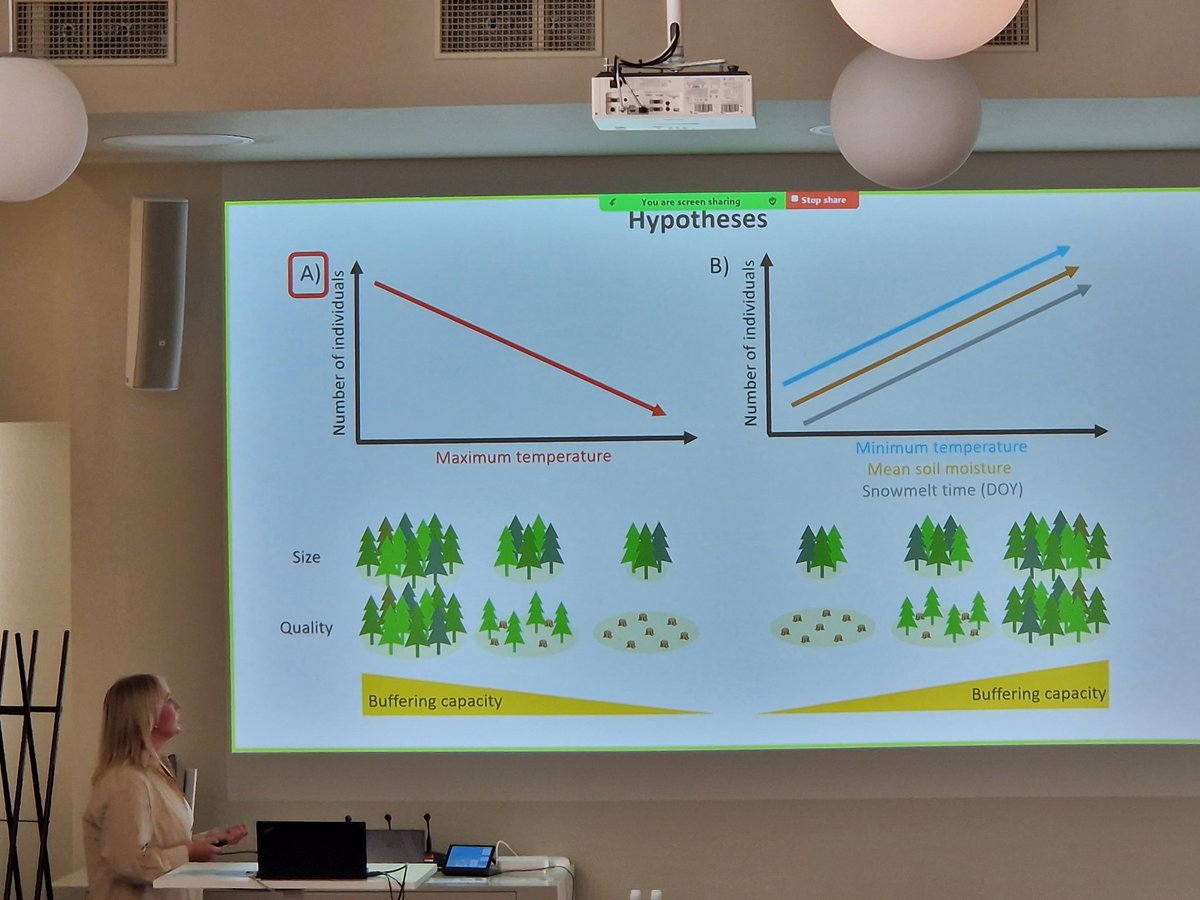 How does microclimate affect an old-growth forest species? <a href="/SusannaKoivusa1/">Susanna Koivusaari</a> just presented her work at the @meb2024 conference!

<a href="/helsinkiuni/">University of Helsinki</a> <a href="/SYKEint/">Finnish Environment Institute (Syke)</a> <a href="/luomus/">Luomus</a> <a href="/AnniinaMattila/">Anniina Mattila</a>