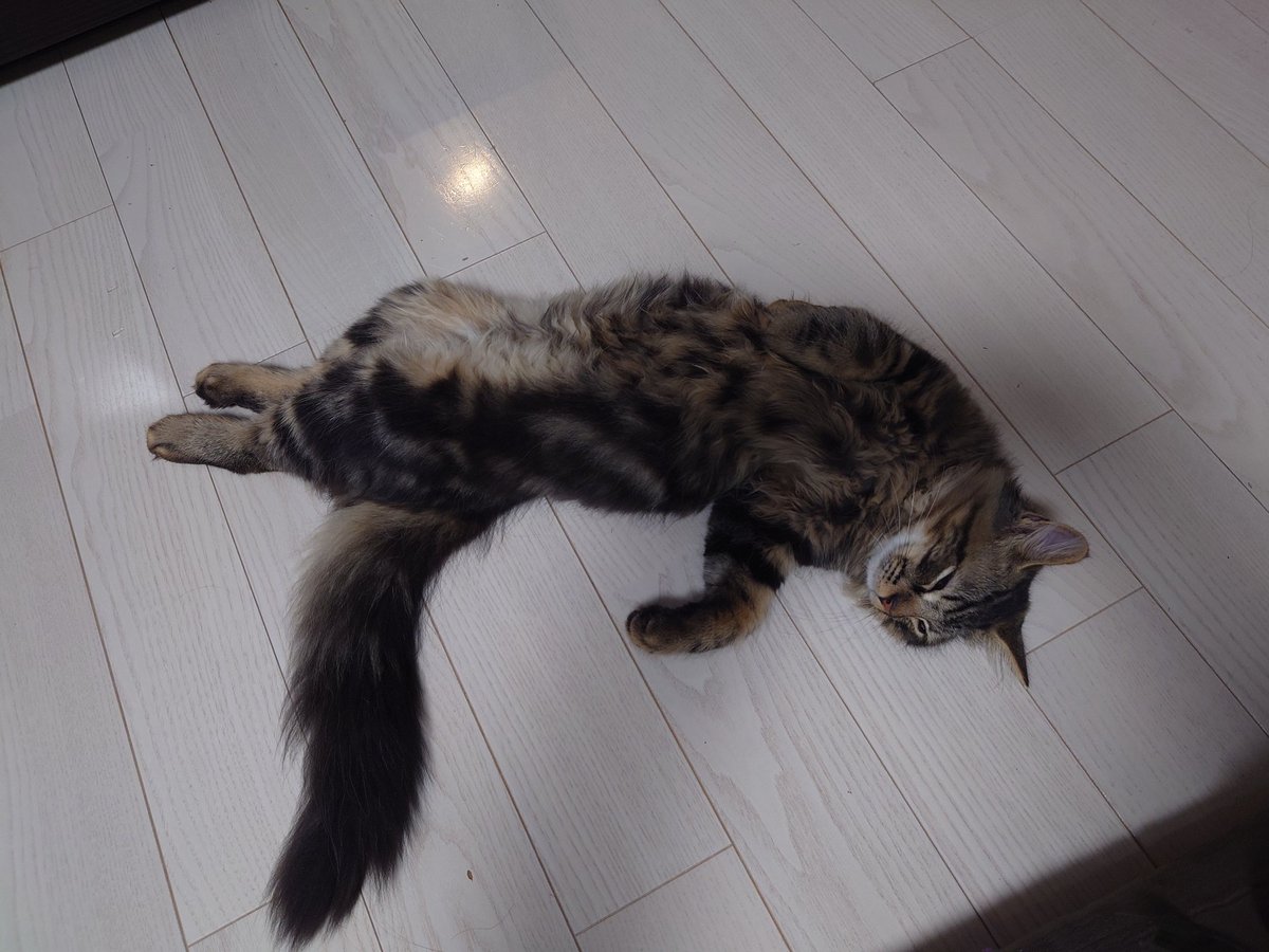 たまには仰向けで寝たい時もあるって